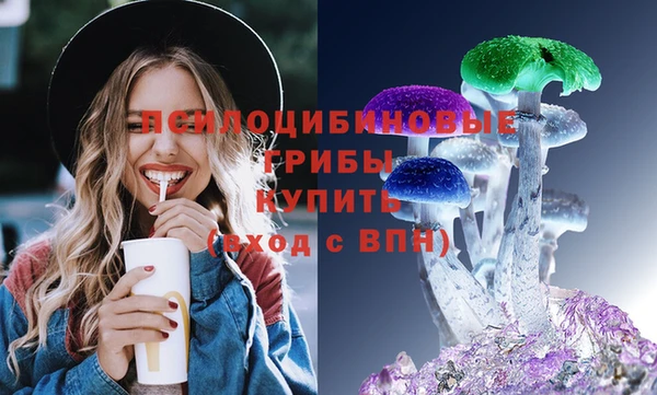 амф Осинники