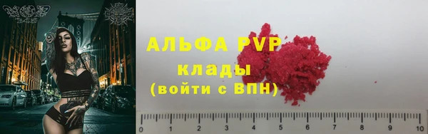 PSILOCYBIN Нязепетровск