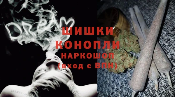 амф Осинники