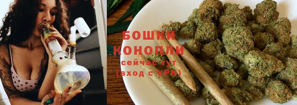 амф Осинники